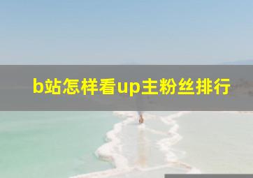 b站怎样看up主粉丝排行