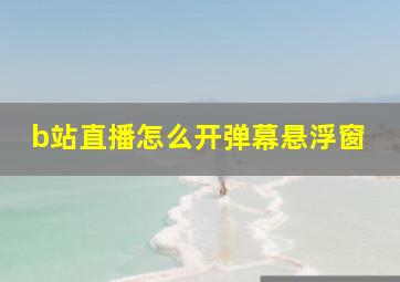 b站直播怎么开弹幕悬浮窗