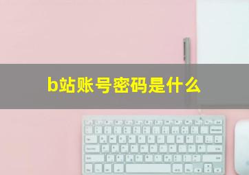 b站账号密码是什么