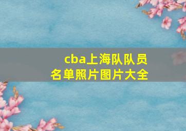 cba上海队队员名单照片图片大全