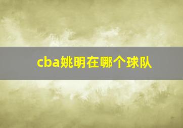 cba姚明在哪个球队