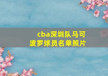 cba深圳队马可波罗球员名单照片