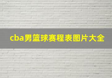 cba男篮球赛程表图片大全