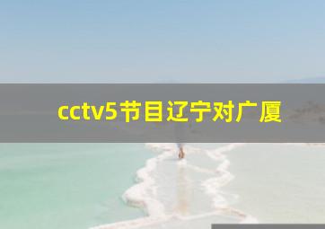 cctv5节目辽宁对广厦