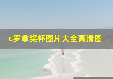 c罗拿奖杯图片大全高清图