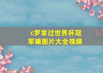 c罗拿过世界杯冠军嘛图片大全视频