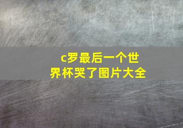 c罗最后一个世界杯哭了图片大全