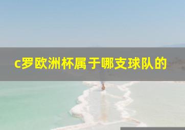 c罗欧洲杯属于哪支球队的