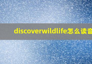 discoverwildlife怎么读音