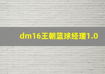 dm16王朝篮球经理1.0