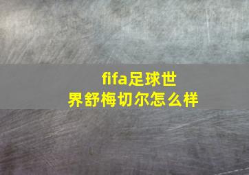 fifa足球世界舒梅切尔怎么样