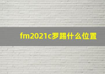 fm2021c罗踢什么位置