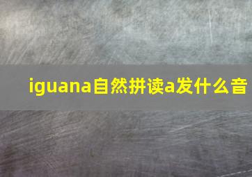 iguana自然拼读a发什么音