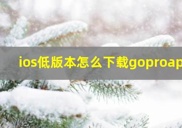 ios低版本怎么下载goproapp