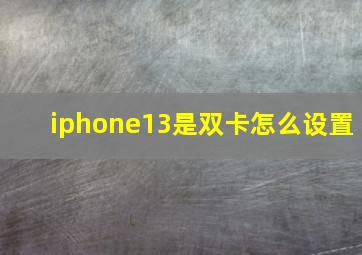 iphone13是双卡怎么设置