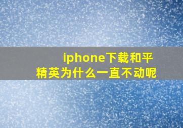 iphone下载和平精英为什么一直不动呢