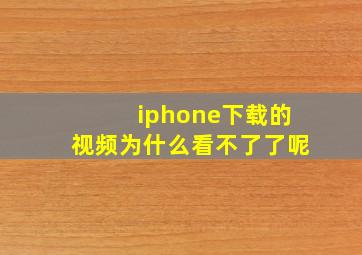 iphone下载的视频为什么看不了了呢