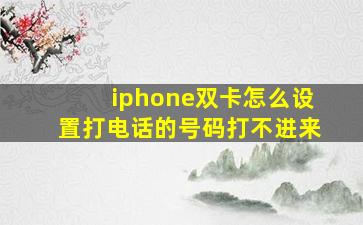 iphone双卡怎么设置打电话的号码打不进来