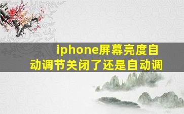 iphone屏幕亮度自动调节关闭了还是自动调