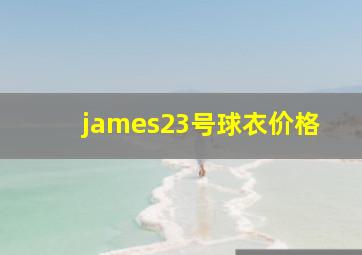 james23号球衣价格