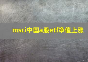 msci中国a股etf净值上涨