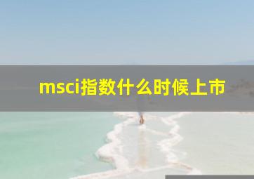 msci指数什么时候上市