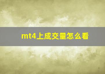 mt4上成交量怎么看