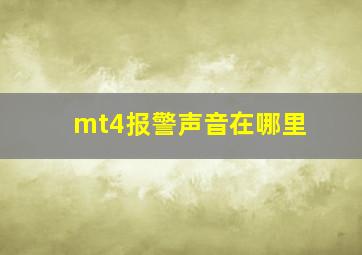 mt4报警声音在哪里