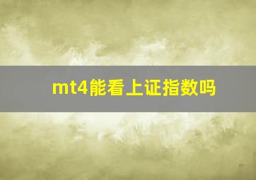 mt4能看上证指数吗