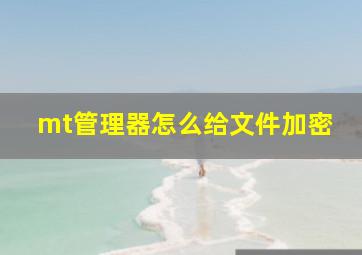 mt管理器怎么给文件加密