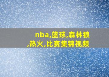 nba,篮球,森林狼,热火,比赛集锦视频