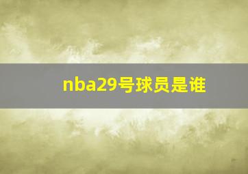 nba29号球员是谁