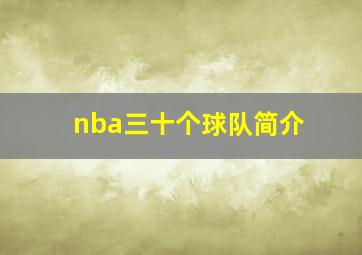 nba三十个球队简介