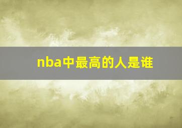 nba中最高的人是谁