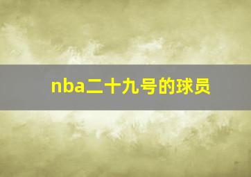 nba二十九号的球员