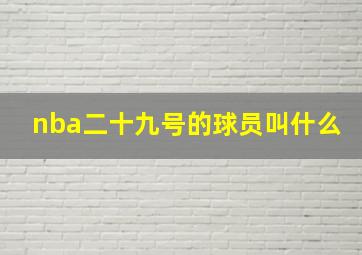 nba二十九号的球员叫什么