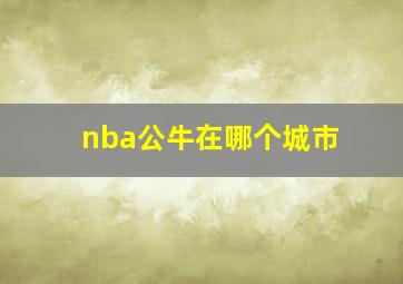 nba公牛在哪个城市