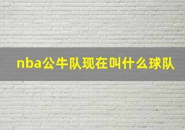 nba公牛队现在叫什么球队