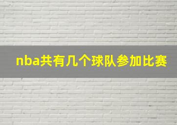 nba共有几个球队参加比赛