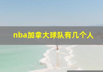 nba加拿大球队有几个人