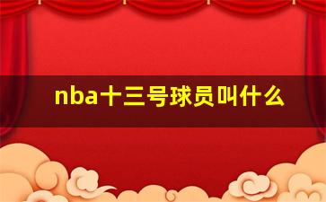 nba十三号球员叫什么