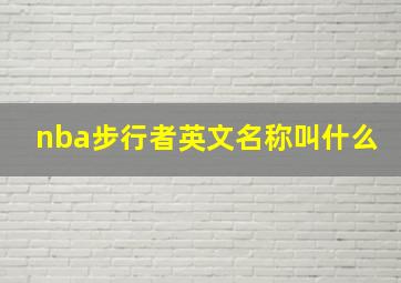 nba步行者英文名称叫什么