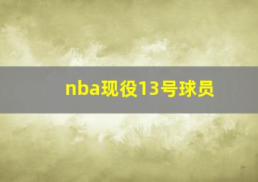 nba现役13号球员