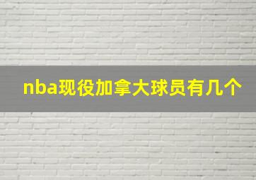 nba现役加拿大球员有几个