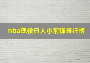 nba现役白人小前锋排行榜