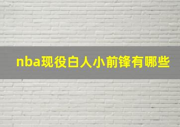 nba现役白人小前锋有哪些