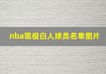 nba现役白人球员名单图片