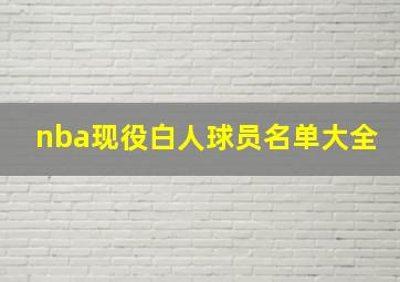 nba现役白人球员名单大全