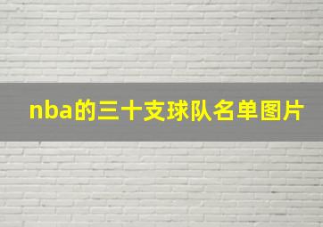 nba的三十支球队名单图片