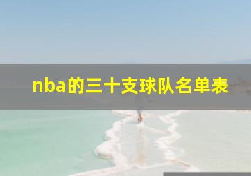 nba的三十支球队名单表